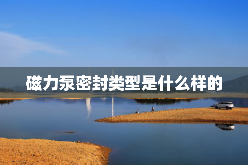 磁力泵密封类型是什么样的