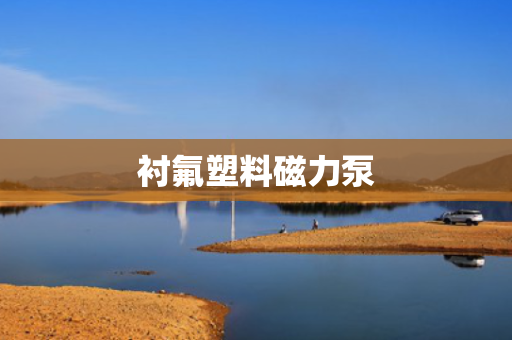 衬氟塑料磁力泵