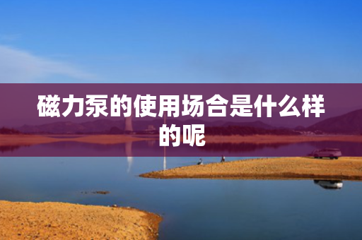 磁力泵的使用场合是什么样的呢