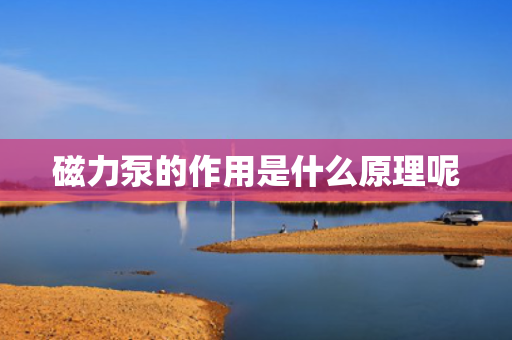 磁力泵的作用是什么原理呢