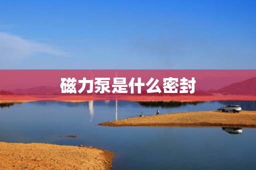 磁力泵是什么密封