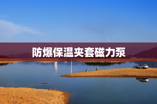 防爆保温夹套磁力泵