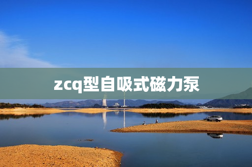 zcq型自吸式磁力泵
