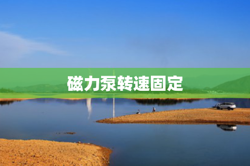 磁力泵转速固定