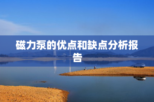 磁力泵的优点和缺点分析报告