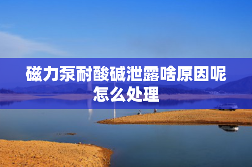 磁力泵耐酸碱泄露啥原因呢怎么处理 磁力泵耐酸碱泄露啥原因呢怎么处理
