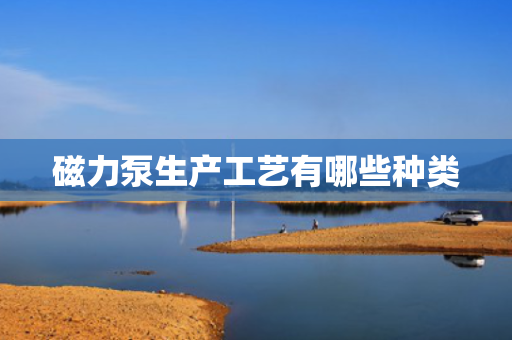 磁力泵生产工艺有哪些种类