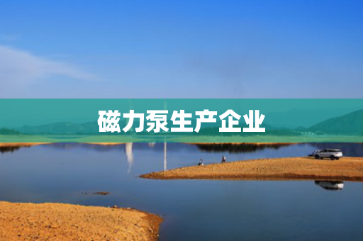 磁力泵生产企业