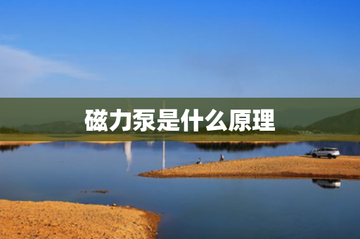 磁力泵是什么原理 磁力泵是什么原理