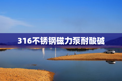 316不锈钢磁力泵耐酸碱 316不锈钢磁力泵耐酸碱