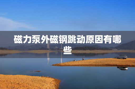 磁力泵外磁钢跳动原因有哪些