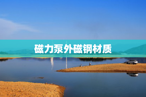 磁力泵外磁钢材质