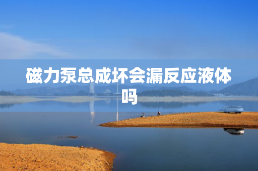 磁力泵总成坏会漏反应液体吗