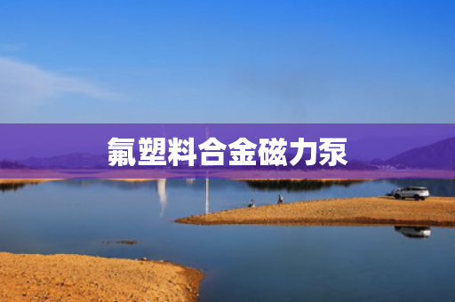 氟塑料合金磁力泵 氟塑料合金磁力泵