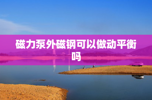 磁力泵外磁钢可以做动平衡吗