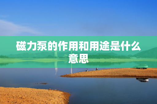 磁力泵的作用和用途是什么意思 磁力泵的作用和用途是什么意思