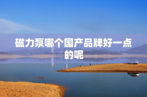 磁力泵哪个国产品牌好一点的呢