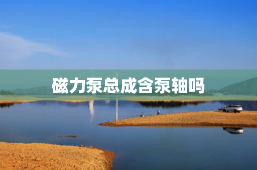 磁力泵总成含泵轴吗 磁力泵总成含泵轴吗