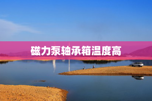 磁力泵轴承箱温度高