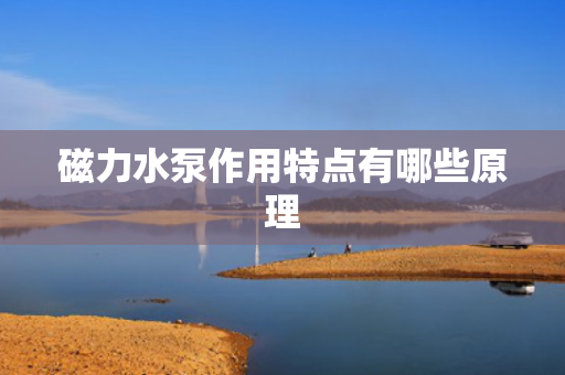 磁力水泵作用特点有哪些原理 磁力水泵作用特点有哪些原理