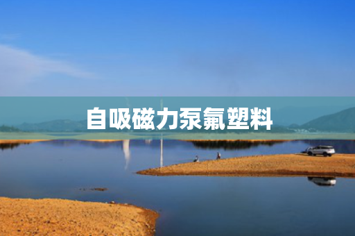 自吸磁力泵氟塑料