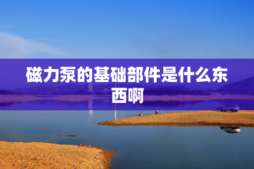 磁力泵的基础部件是什么东西啊