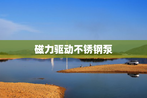 磁力驱动不锈钢泵