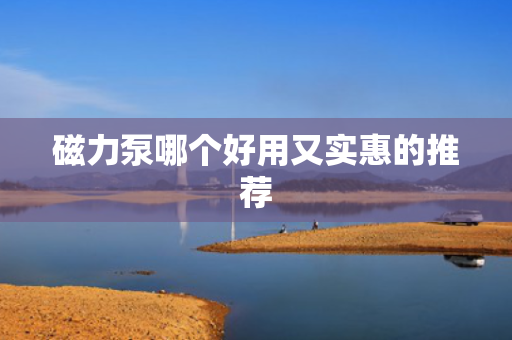 磁力泵哪个好用又实惠的推荐