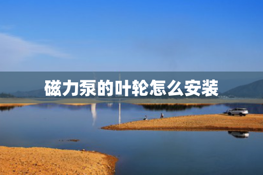 磁力泵的叶轮怎么安装