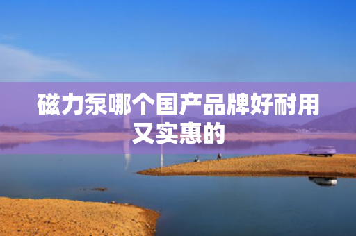 磁力泵哪个国产品牌好耐用又实惠的