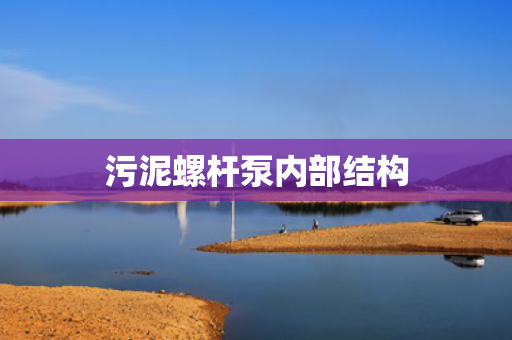 污泥螺杆泵内部结构