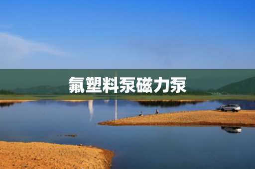 氟塑料泵磁力泵