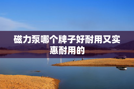 磁力泵哪个牌子好耐用又实惠耐用的