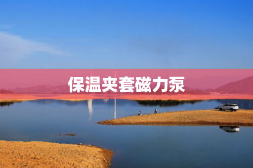 保温夹套磁力泵 保温夹套磁力泵