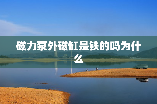 磁力泵外磁缸是铁的吗为什么