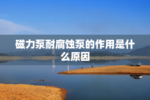 磁力泵耐腐蚀泵的作用是什么原因