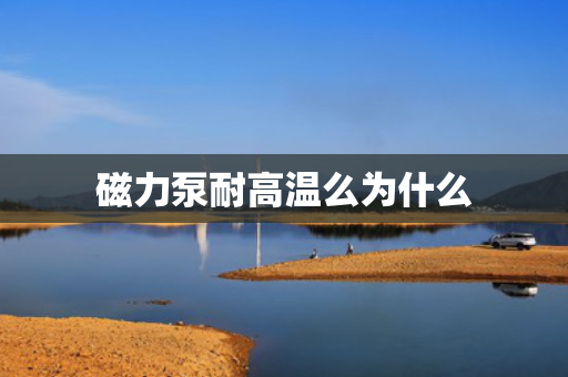 磁力泵耐高温么为什么