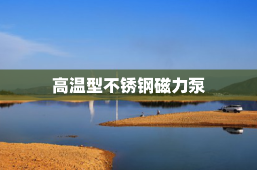 高温型不锈钢磁力泵