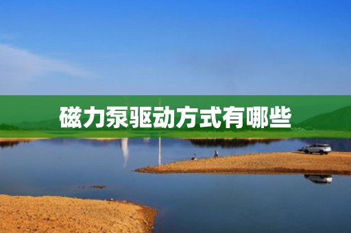 磁力泵驱动方式有哪些