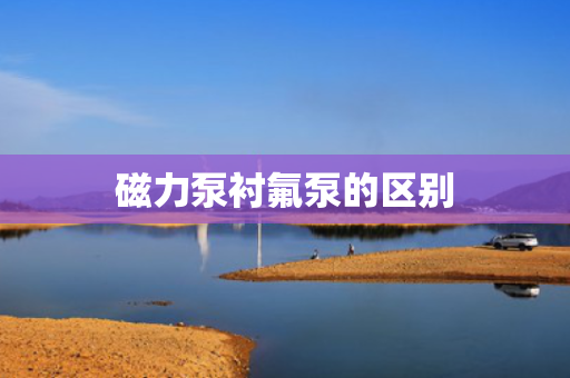 磁力泵衬氟泵的区别