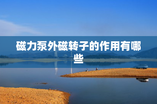 磁力泵外磁转子的作用有哪些 磁力泵外磁转子的作用有哪些