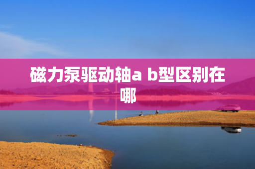 磁力泵驱动轴a b型区别在哪