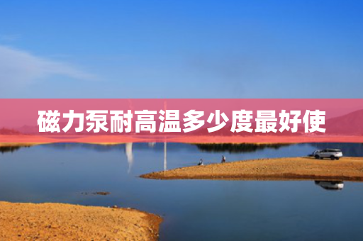 磁力泵耐高温多少度最好使