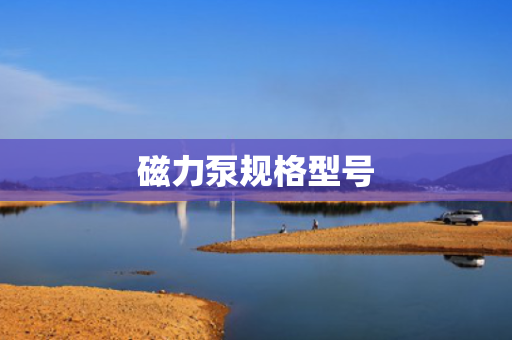 磁力泵规格型号