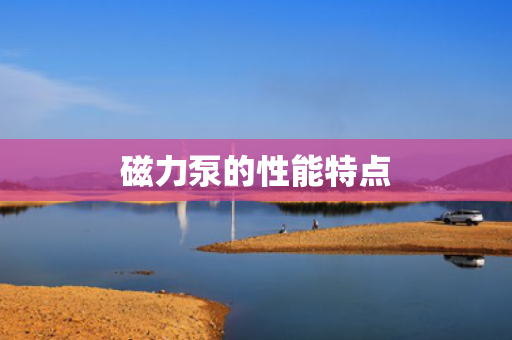 磁力泵的性能特点