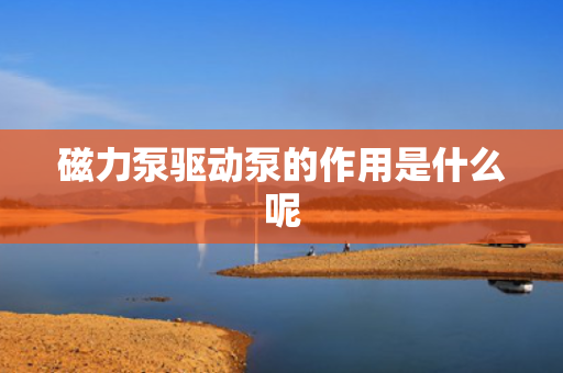 磁力泵驱动泵的作用是什么呢