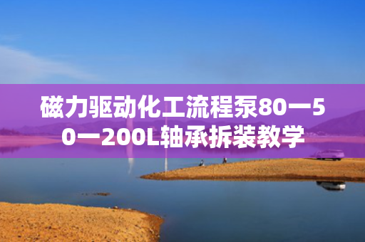 磁力驱动化工流程泵80一50一200L轴承拆装教学 磁力驱动化工流程泵80一50一200L轴承拆装教学