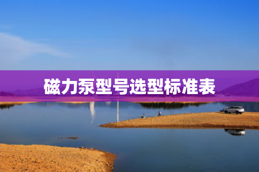 磁力泵型号选型标准表