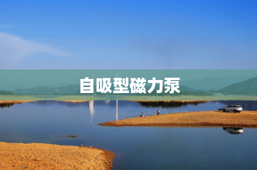 自吸型磁力泵