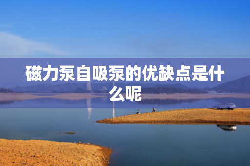 磁力泵自吸泵的优缺点是什么呢